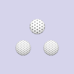 Mesoporous Silica