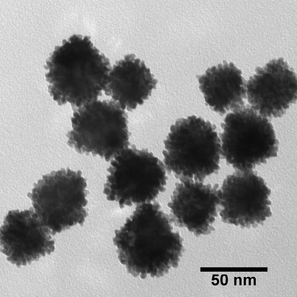 50 nm Platinum Nanoparticles