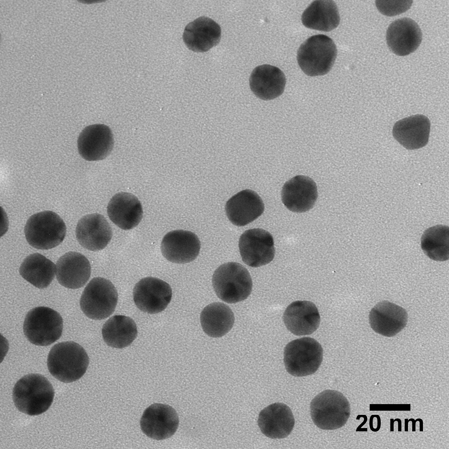 20 nm BioReady Gold Nanospheres for Passive Adsorption