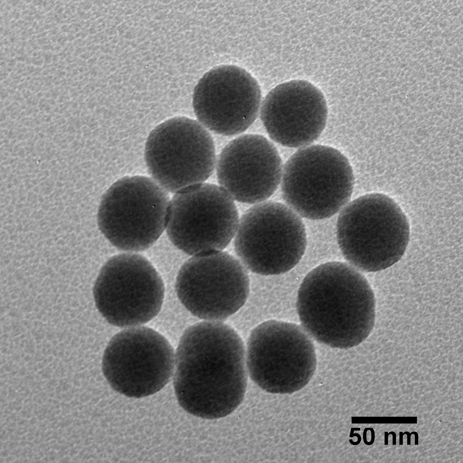 60 nm Silica Nanospheres