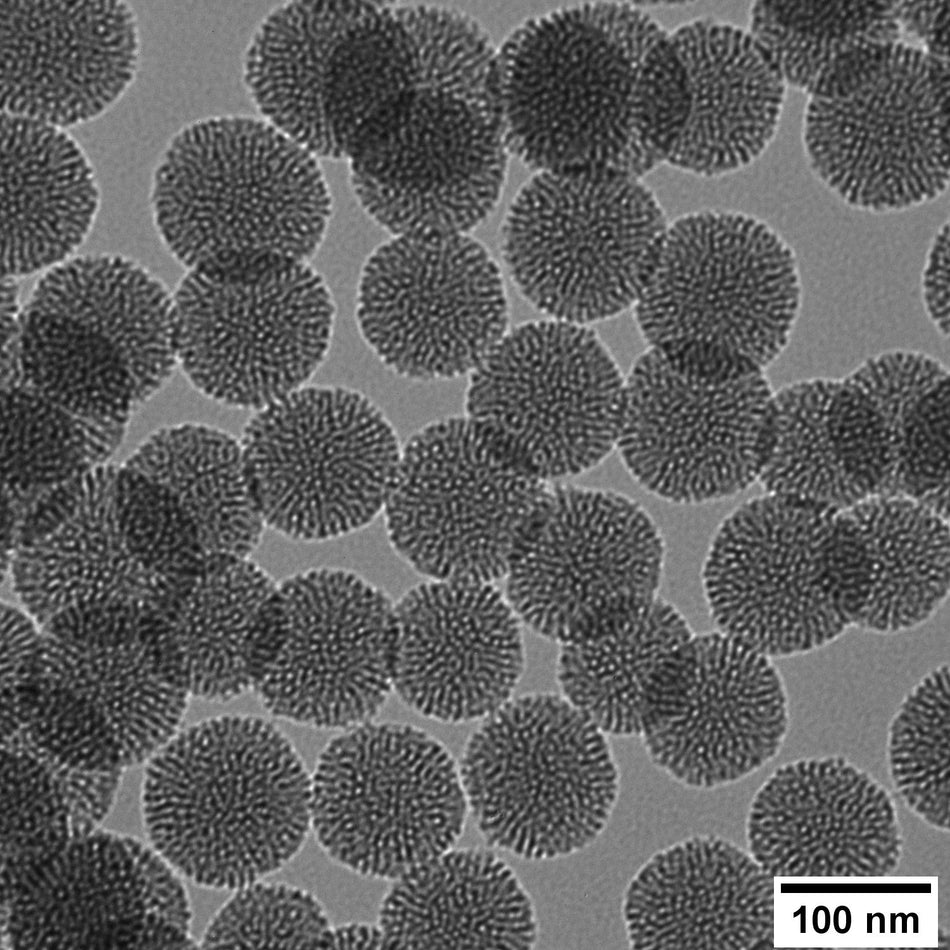 100 nm Large Pore Radial Mesoporous Silica Nanoparticles