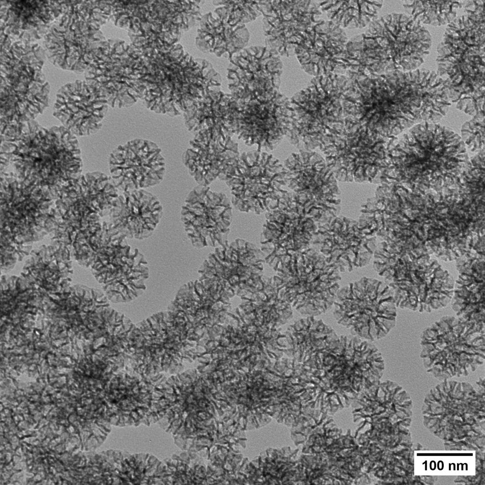 100 nm Extra Large Pore Mesoporous Silica Nanoparticles