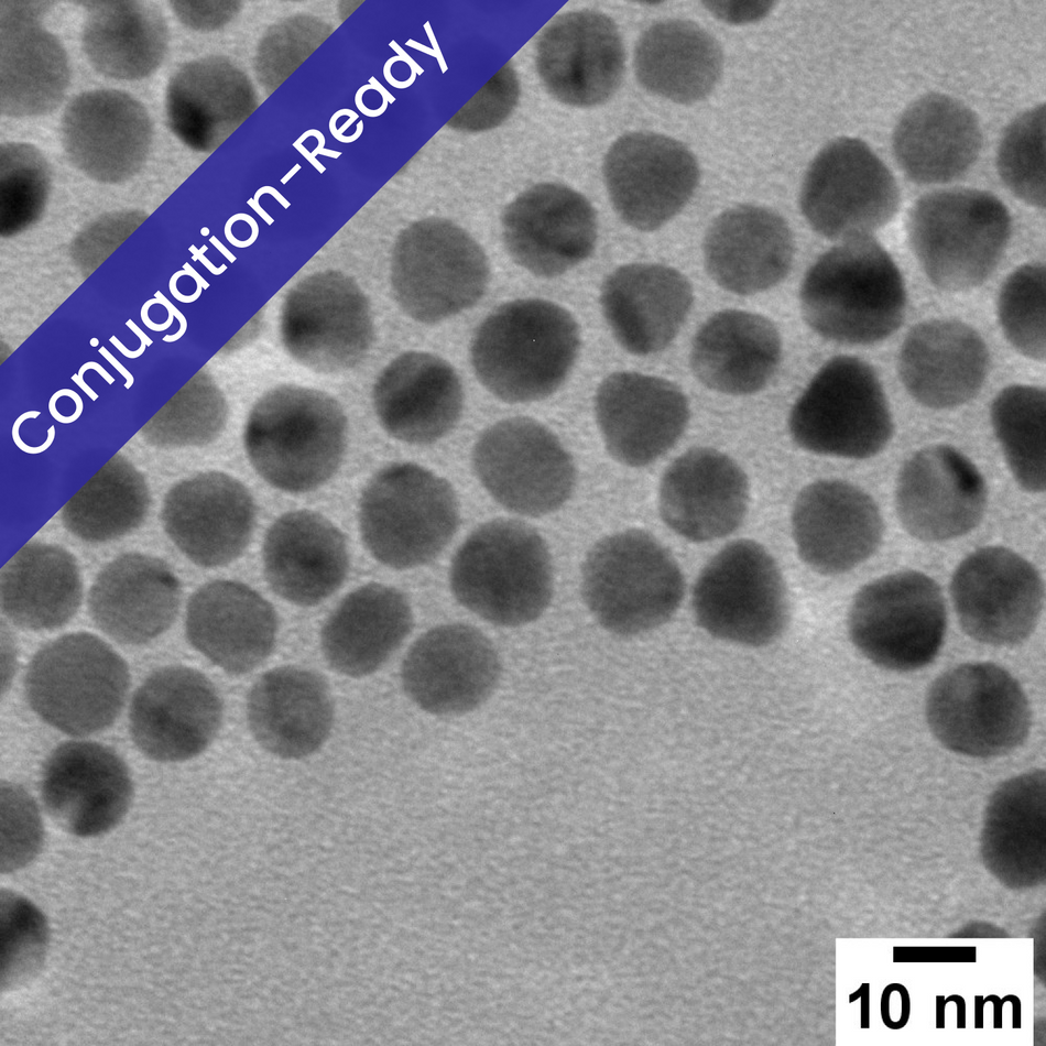 10 nm Gold Nanospheres for Conjugation