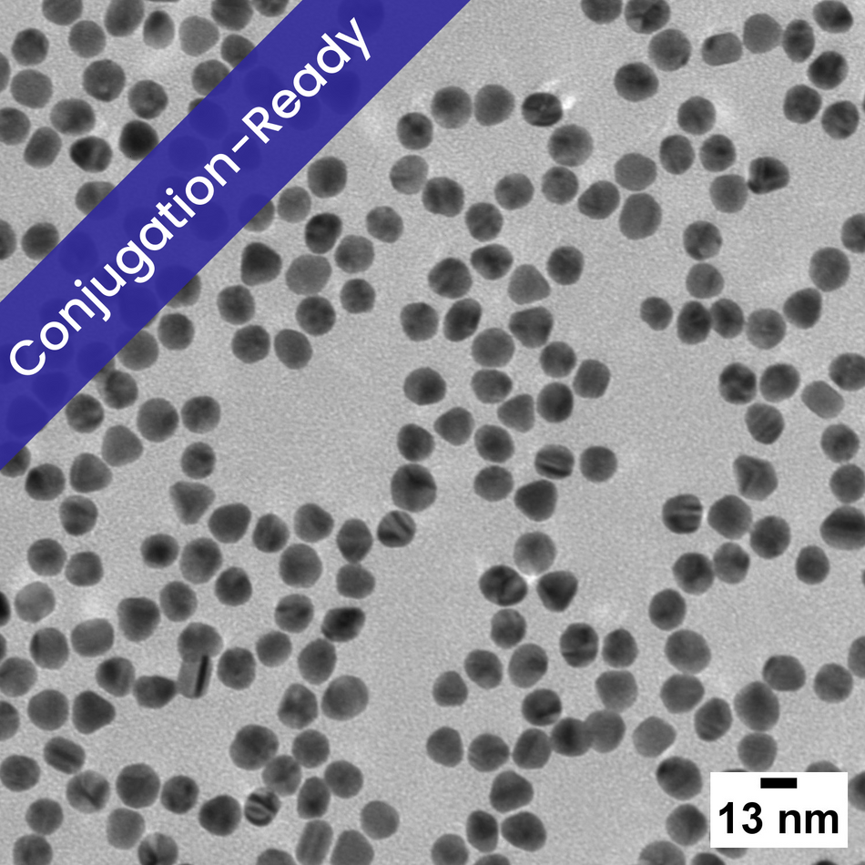 13 nm Gold Nanospheres for Conjugation