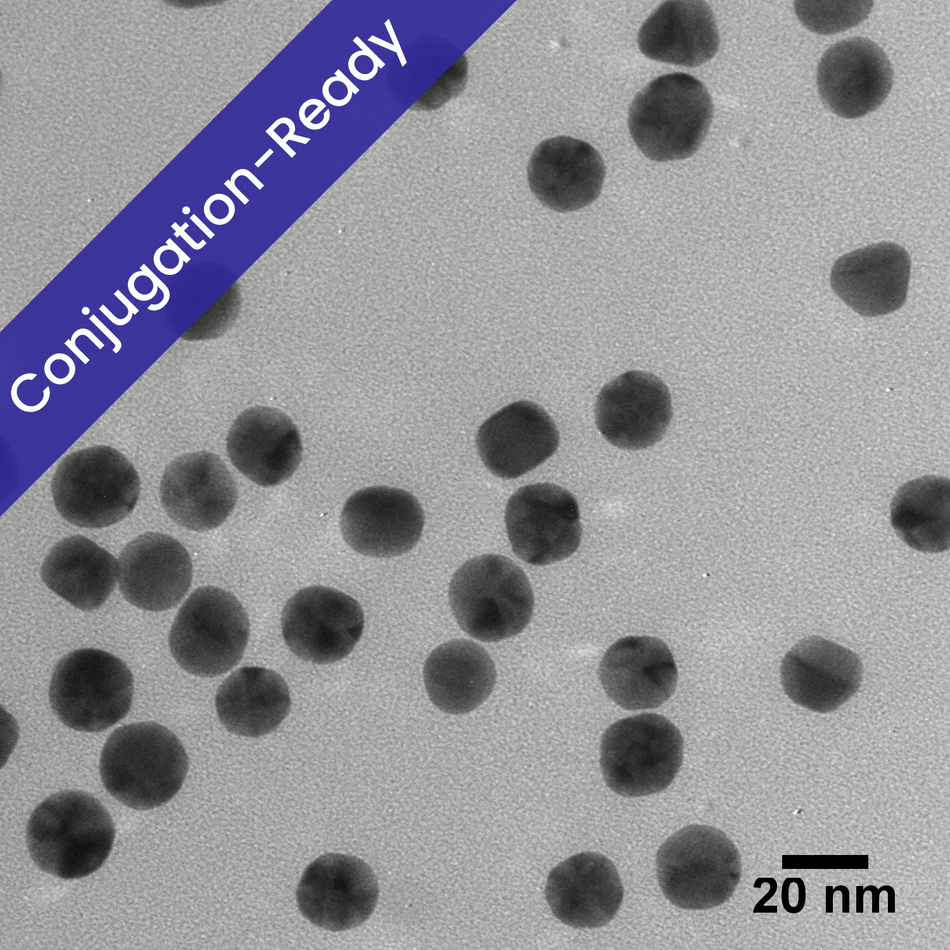 20 nm Gold Nanospheres for Conjugation