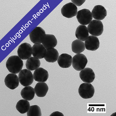 TEM micrograph of 40 nm gold nanospheres with a "conjugation-ready" banner and a scale-bar