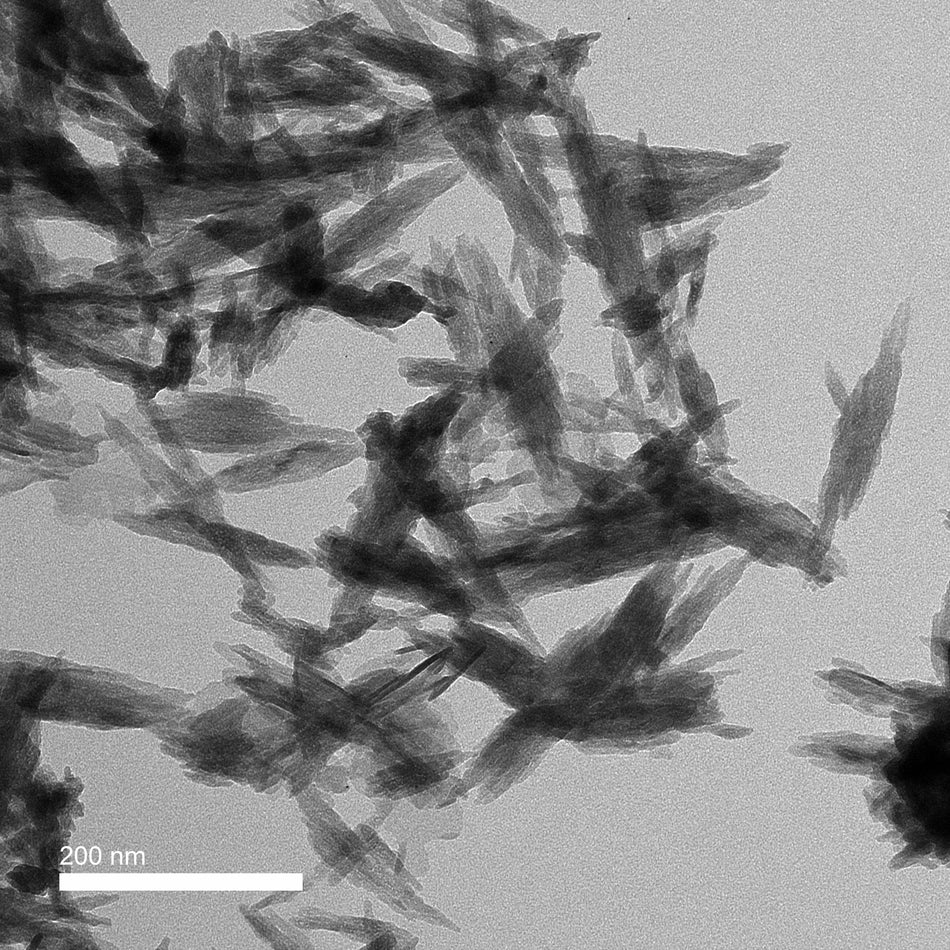 Hydroxyapatite Nanoparticles