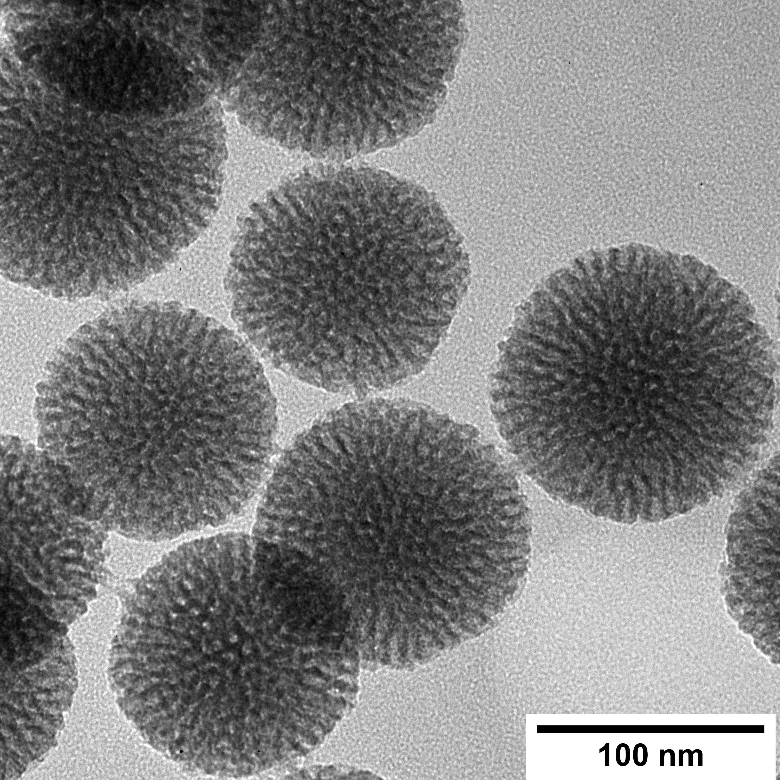100 nm Large Pore Radial Mesoporous Silica Nanoparticles