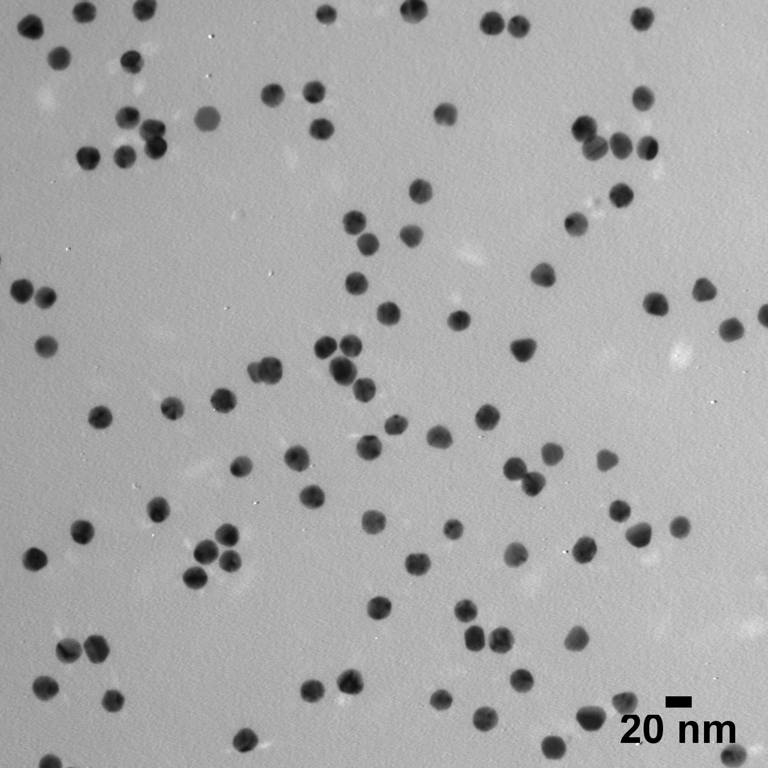 20 nm BioReady Gold Nanospheres for Passive Adsorption