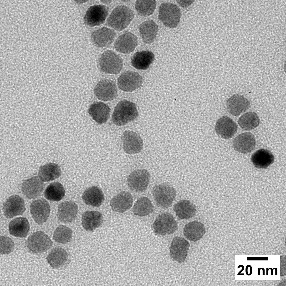 TEM image of iron oxide nanoparticles with a scale bar indicating 20 nm.