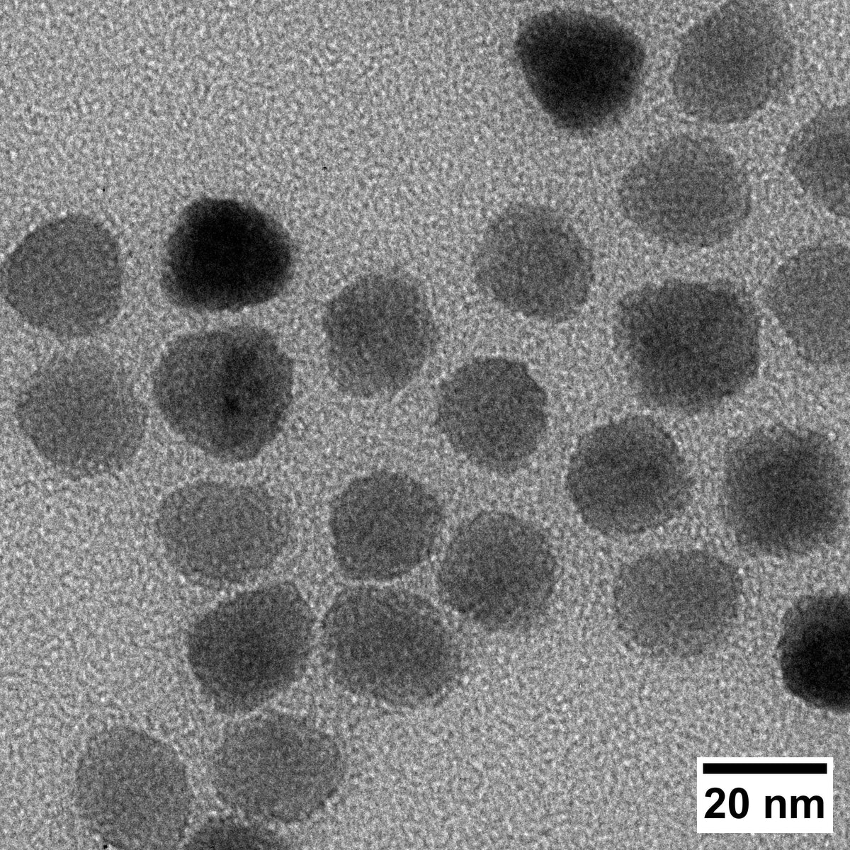 TEM image of iron oxide nanoparticles with a scale bar indicating 20 nm.