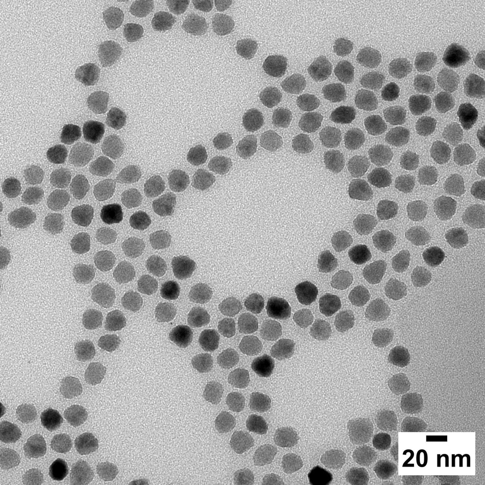 TEM image of iron oxide nanoparticles with a scale bar indicating 20 nm.