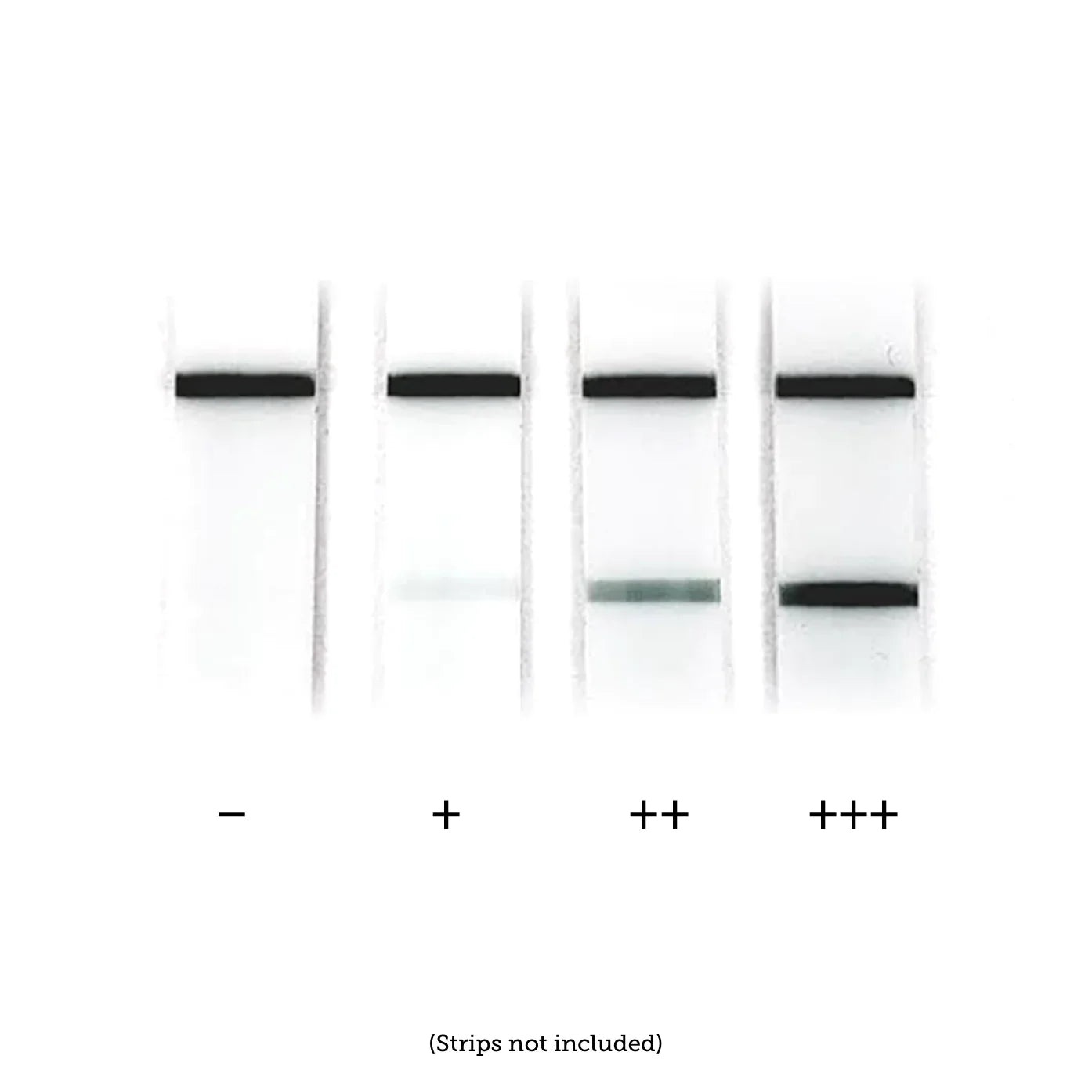 150 nm BioReady Gold Nanoshells for Covalent Conjugation