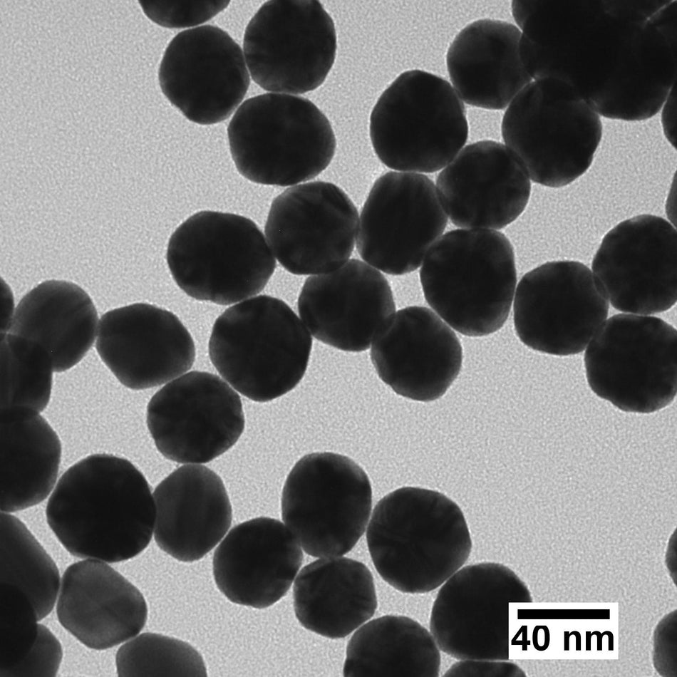 40 nm Gold Nanospheres for Conjugation