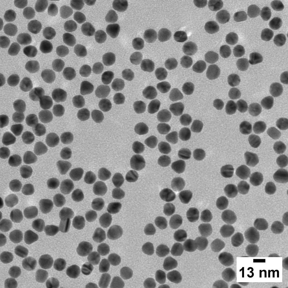 13 nm BioReady Gold Nanospheres for Passive Adsorption