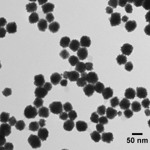 50 nm Platinum Nanoparticles