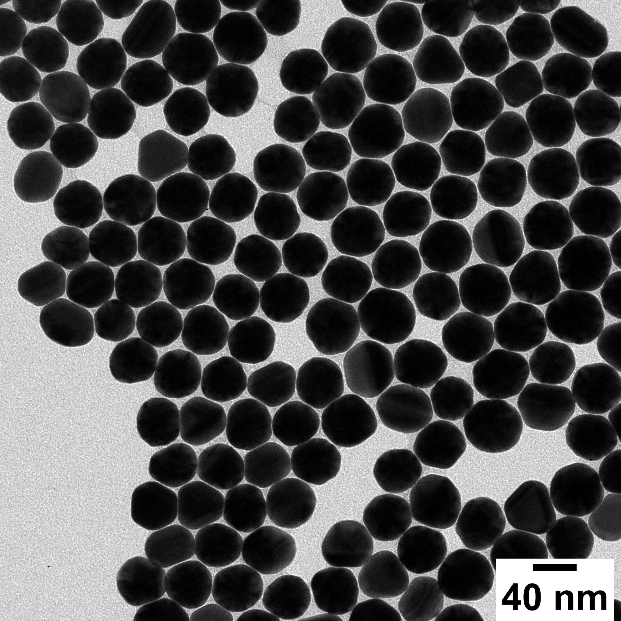 Streptavidin 40 nm BioReady Gold Nanospheres