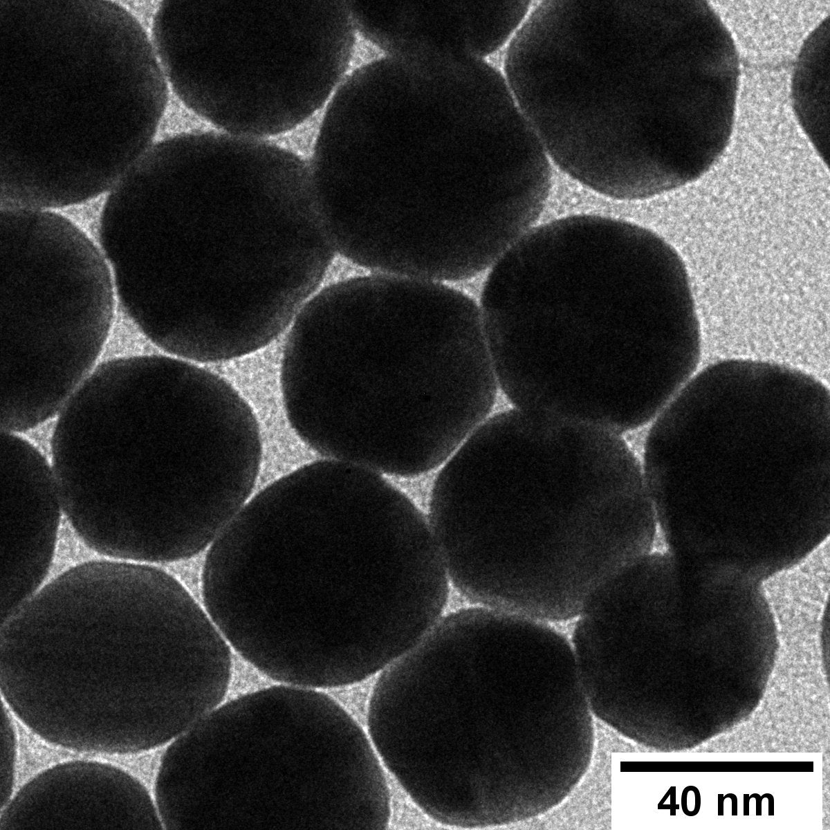 Streptavidin 40 nm BioReady Gold Nanospheres