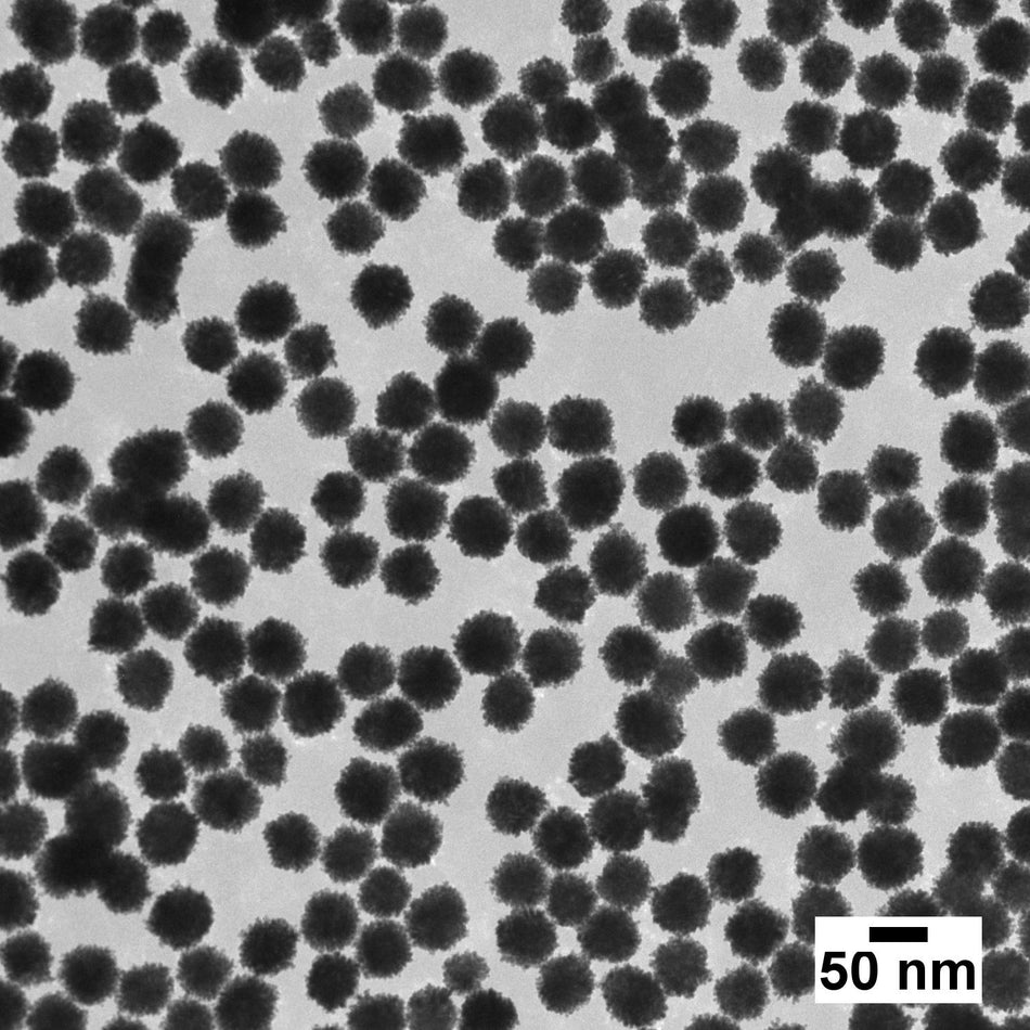 50 nm Platinum Nanoparticles