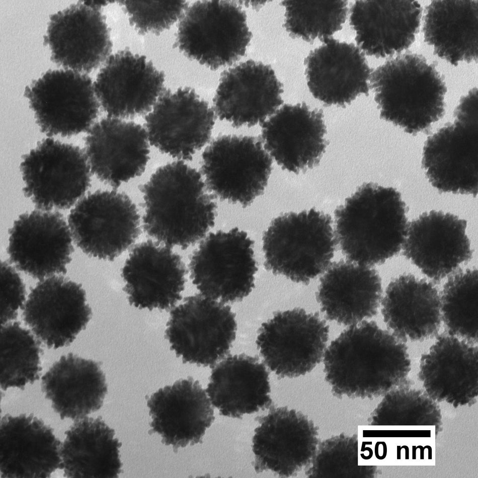 50 nm Platinum Nanoparticles