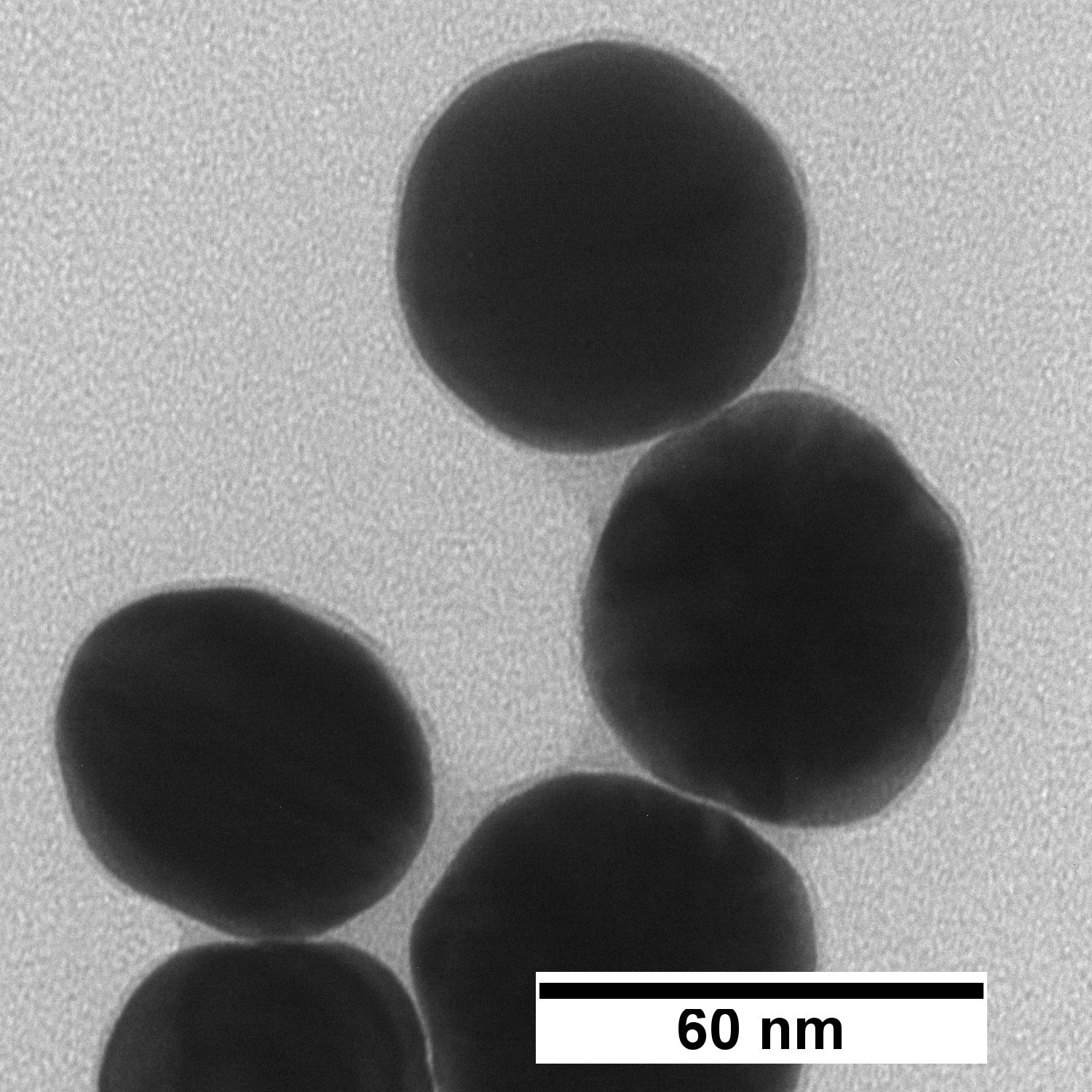 60 nm Gold Nanospheres - nanoComposix