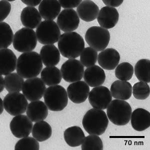 50 nm Gold Nanospheres
