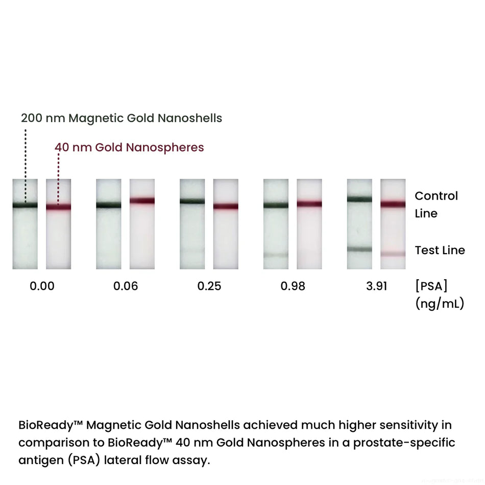 200 nm BioReady Magnetic Gold Nanoshells for Covalent Conjugation