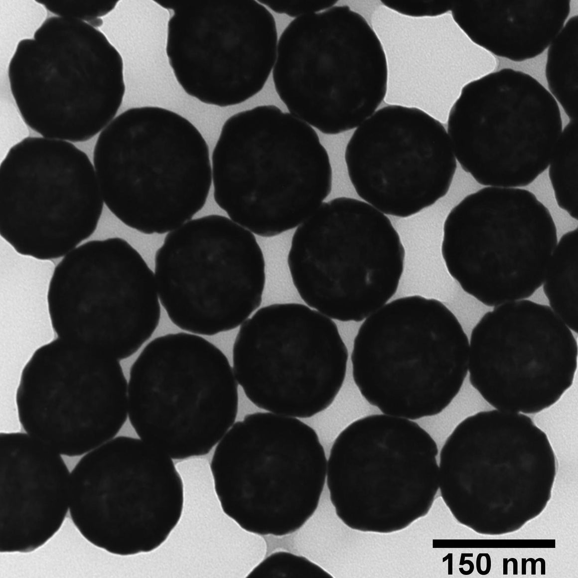 BioReady Gold Nanoshells – NHS (Dried Kit)