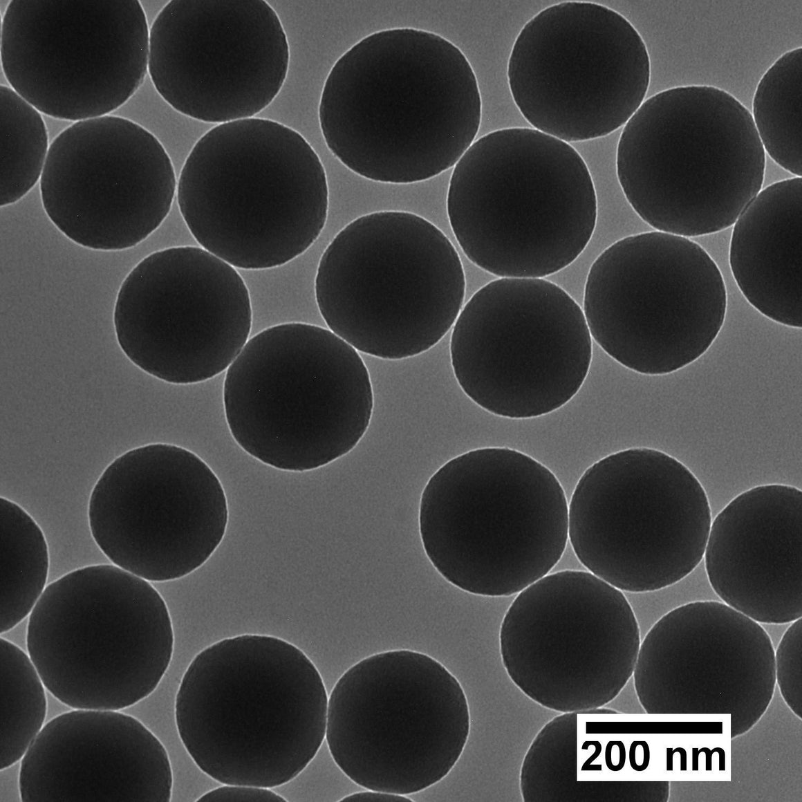 NanoXact Silica Nanospheres – Aminated