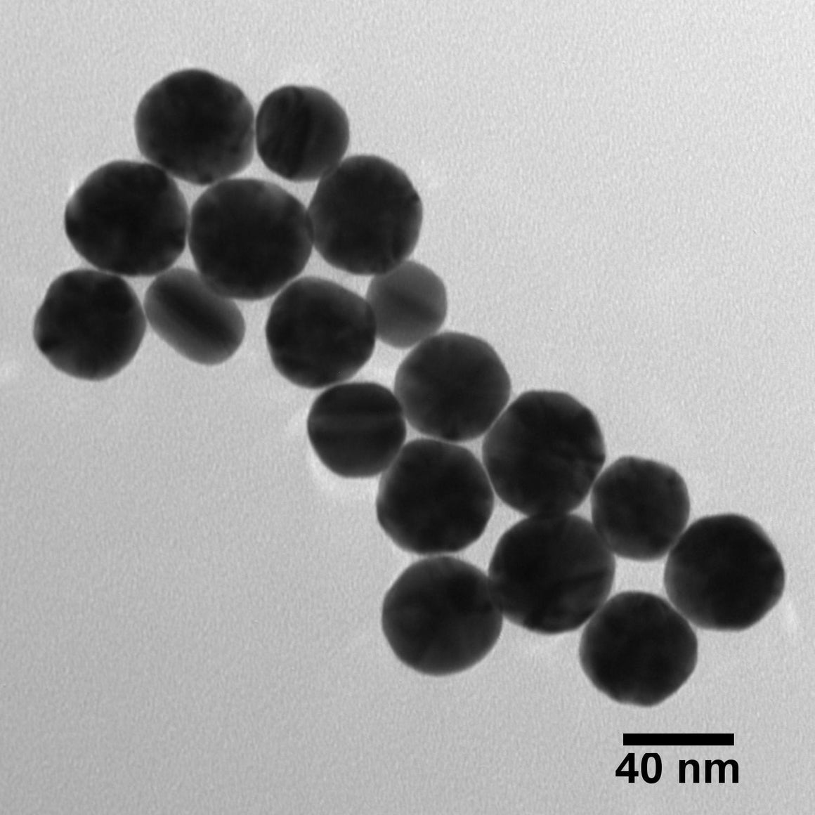 BioReady Gold Nanospheres – Bare (Citrate)