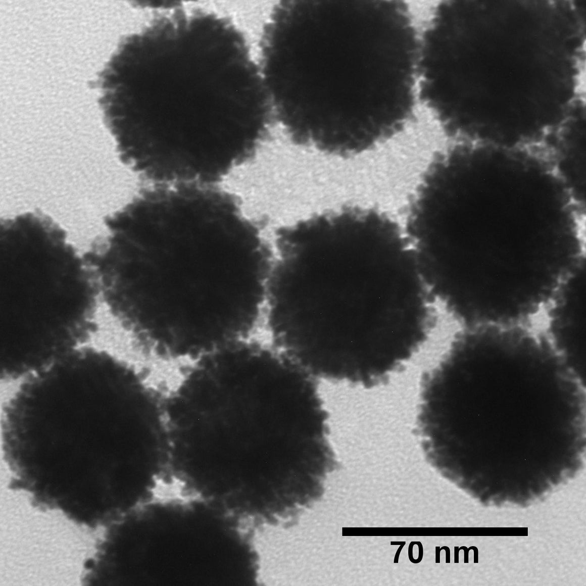 NanoXact Platinum Nanoparticles – Bare (Citrate)