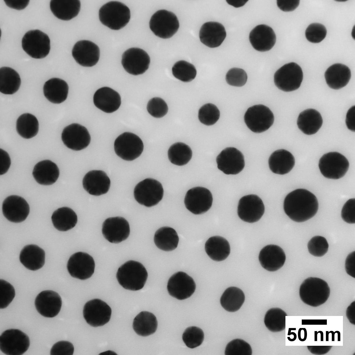 NanoXact Gold Nanospheres – Polystyrene
