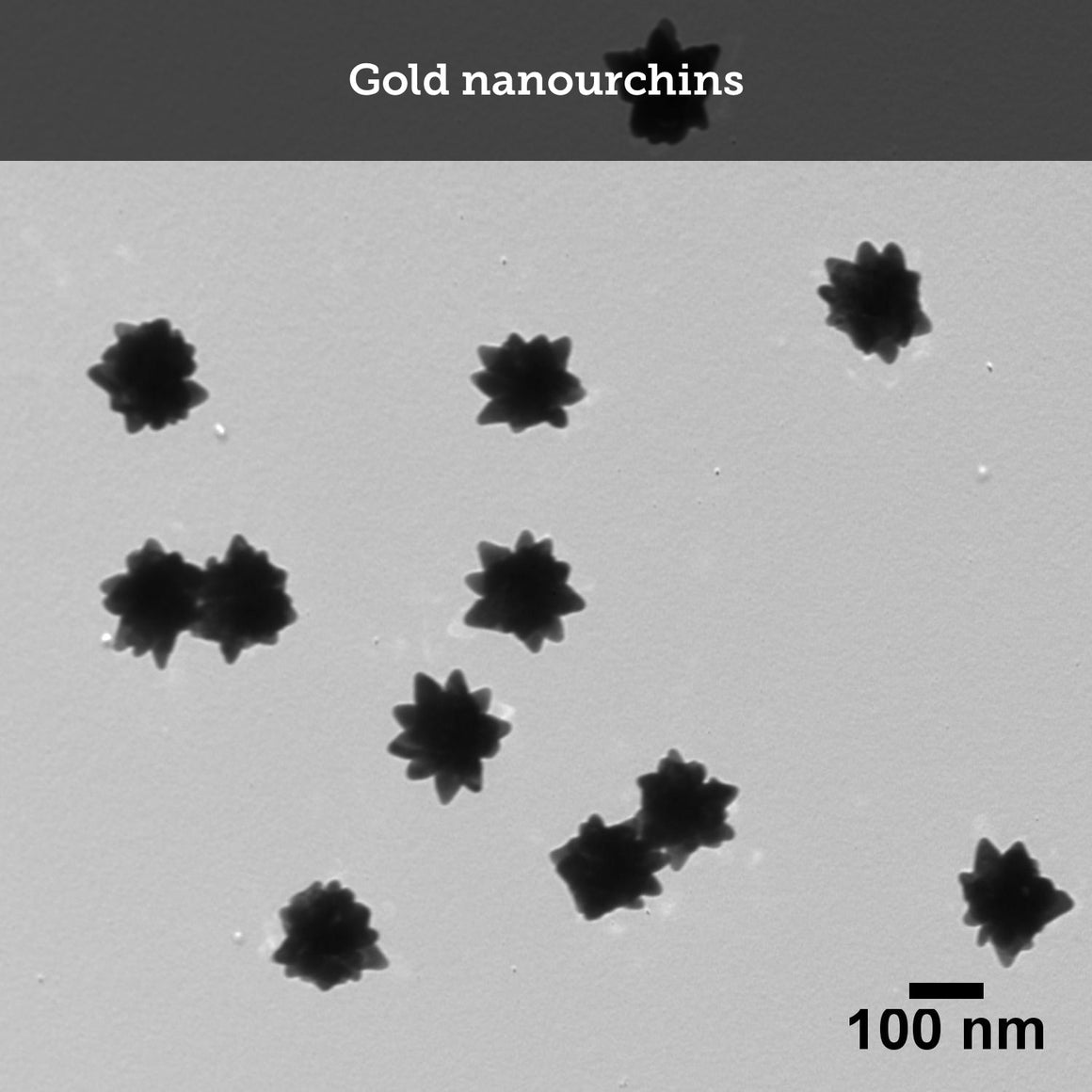 Custom Nanoparticle Synthesis