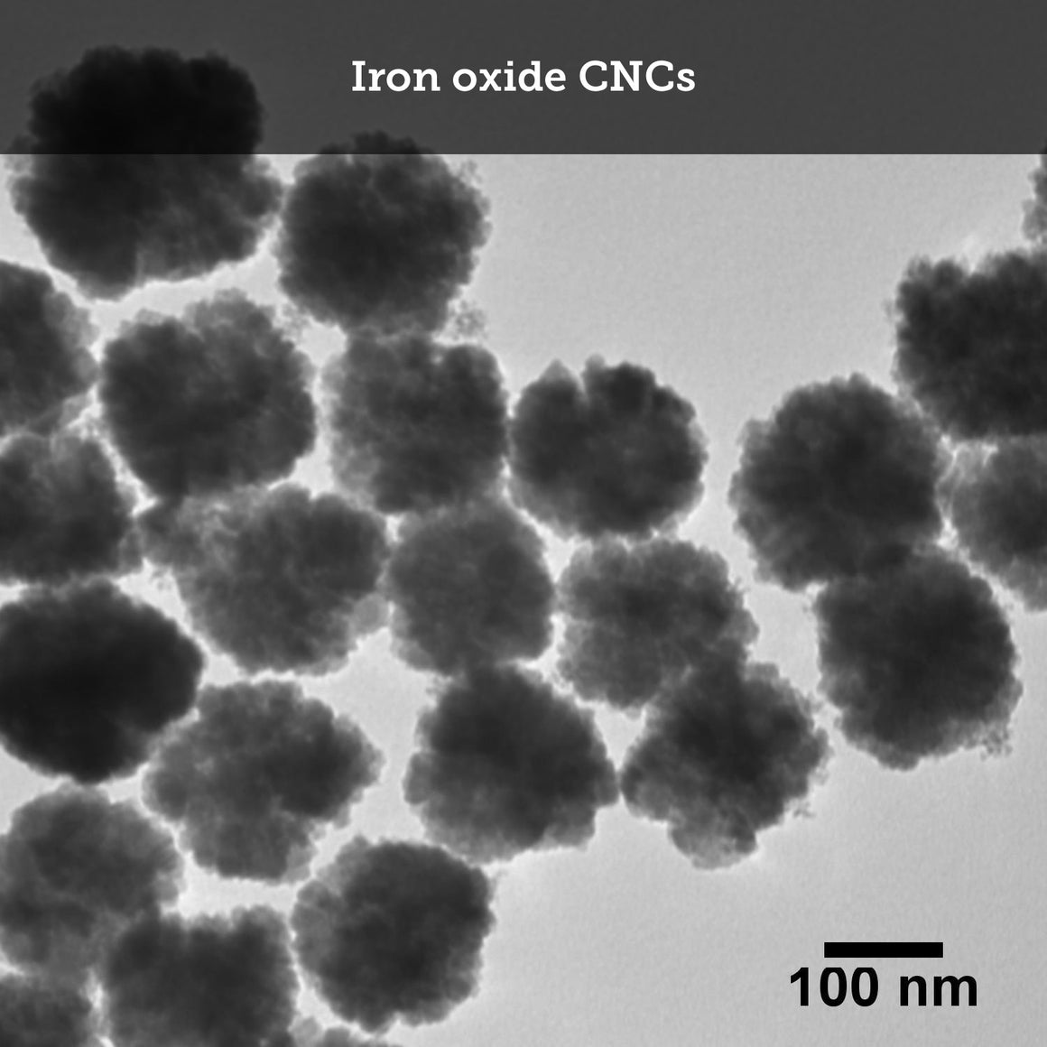 Custom Nanoparticle Synthesis