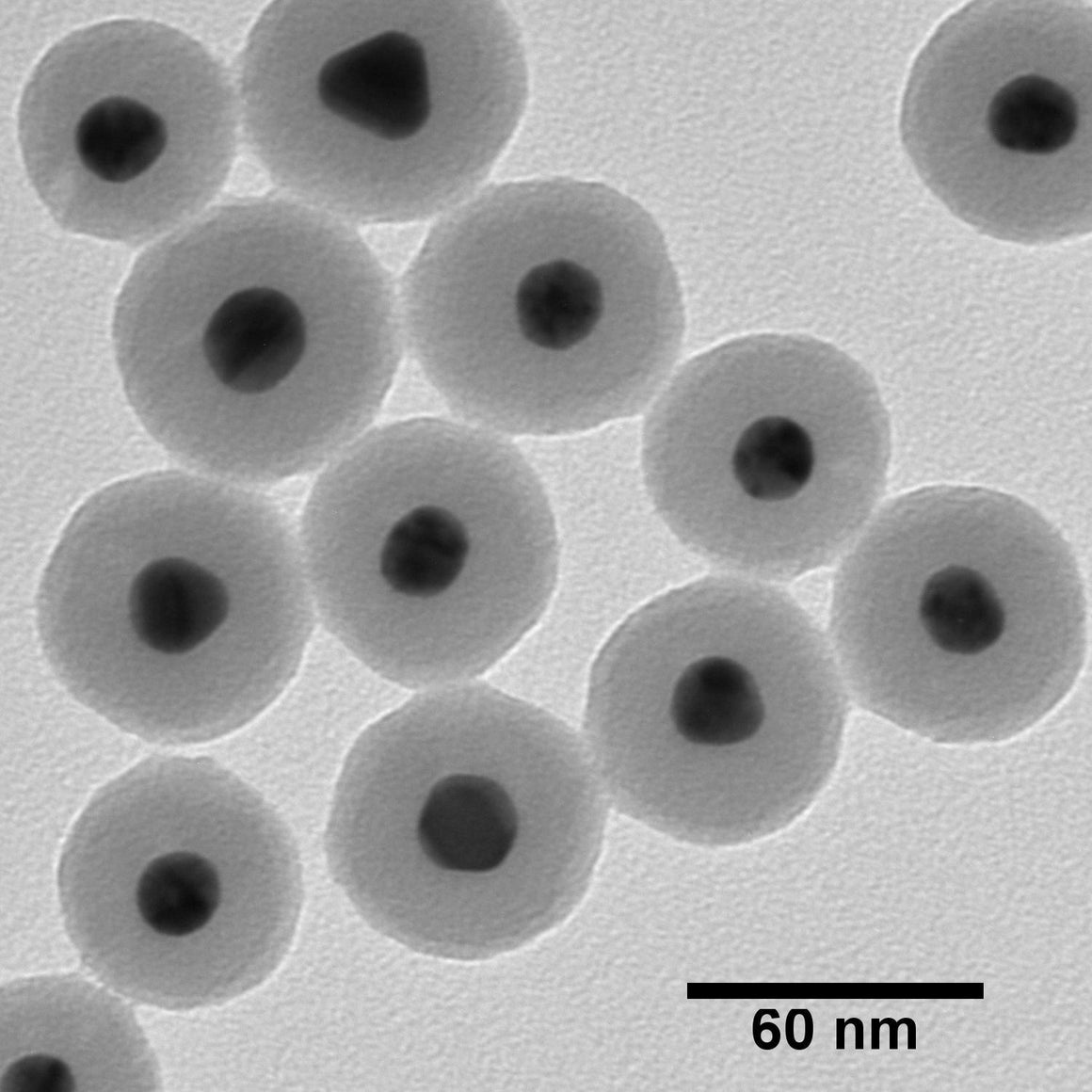 NanoXact Gold Nanospheres – Silica Shelled