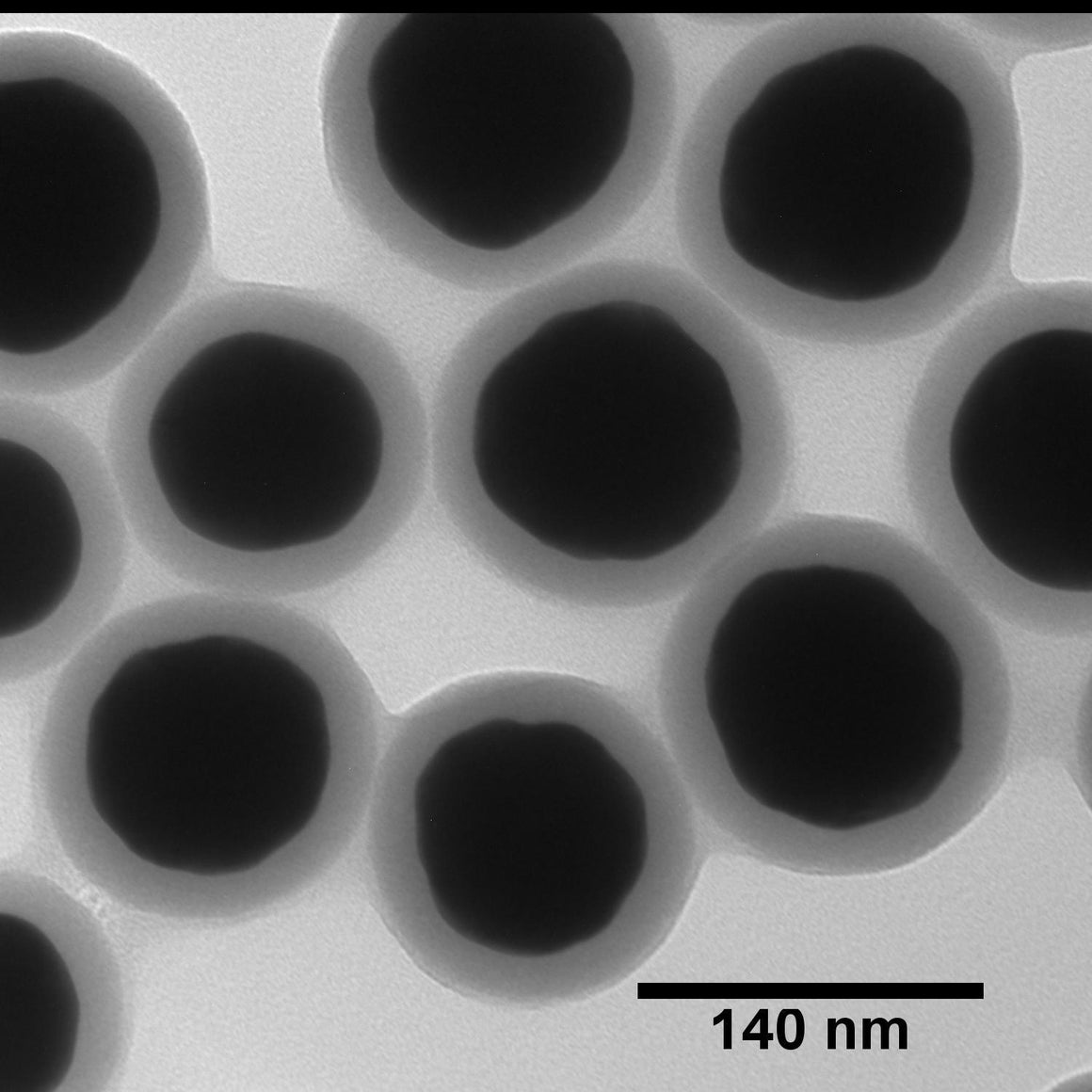 NanoXact Gold Nanospheres – Silica Shelled (Aminated)