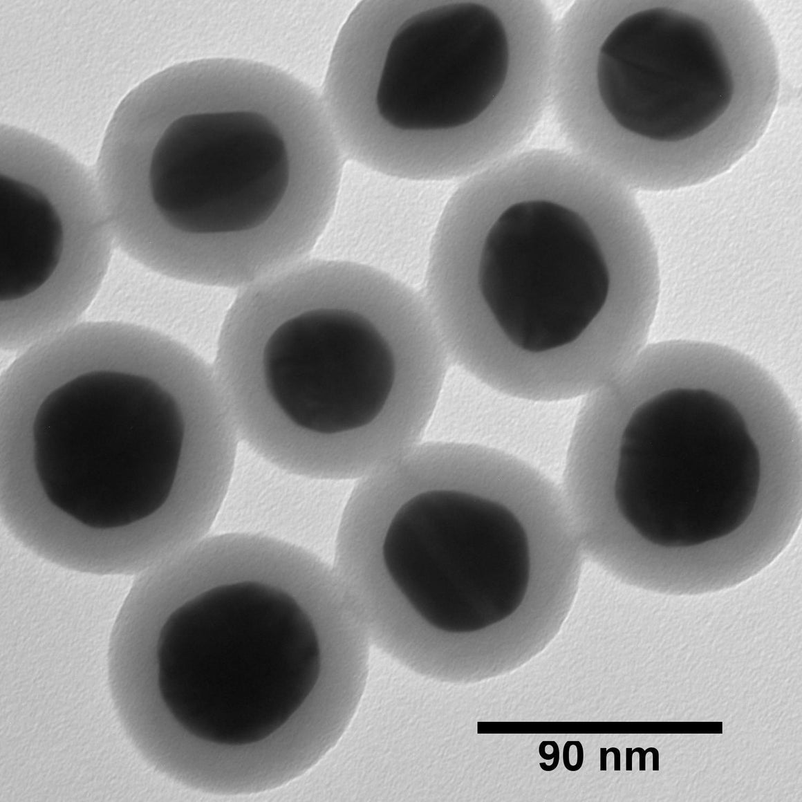 NanoXact Gold Nanospheres – Silica Shelled