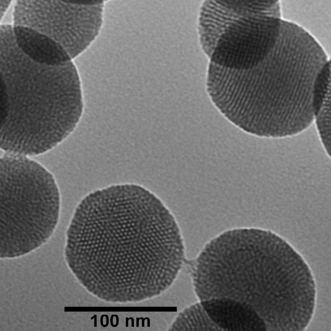 NanoXact Mesoporous Silica Nanospheres – Aminated (Dried)